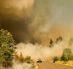 L’Espagne dispose de 46 millions de mètres cubes de biomasse inutilisée. Un bouclier crucial contre les incendies d’été.