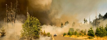 L’Espagne dispose de 46 millions de mètres cubes de biomasse inutilisée. Un bouclier crucial contre les incendies d’été.