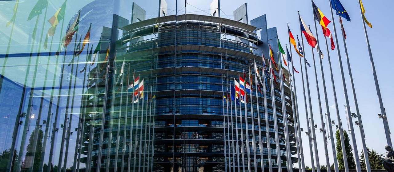 L’UE attribue à TFA des effets néfastes sur la reproduction