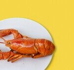 La Galice fait face à sa plus grande crise du fruits de mer depuis des années : un été difficile marqué par le climat, les fermetures de pêche et les toxines.