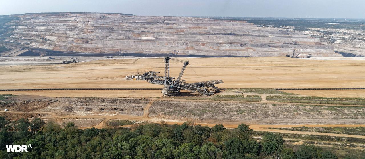 La forêt de Hambach est placée sous protection naturelle