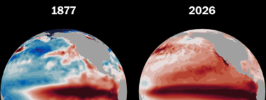 La zone clé de El Niño enregistre en ce moment la température la plus élevée jamais mesurée : un autre élément préoccupant qui s’ajoute à une ENSO historique.