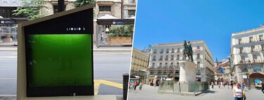 L’arme secrète pour rafraîchir les villes est justement celle que l’Espagne utilise le moins : les arbres.