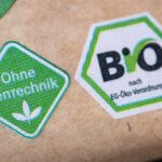 Le Parlement européen adopte des règles assouplies pour les OGM