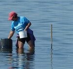 Le Pérou a retrouvé un vieux connu au large de ses côtes : des centaines de navires chinois dépouillant les banques de pêche.