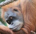 Les experts s’accordent à dire que “la qualité du sommeil dépend du moment où tu te couches, lorsque ton corps est prêt à dormir”.