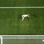 Pays-Bas vs Maroc EN DIRECT AUJOURD’HUI : minute par minute du match des seizièmes de finale de la Coupe du Monde 2026