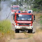 Pompiers en intervention massive : lutte contre les feux de forêt – et la munitions enfouie