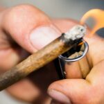 Rapport sur les drogues de l’UE : Le cannabis reste la drogue la plus consommée
