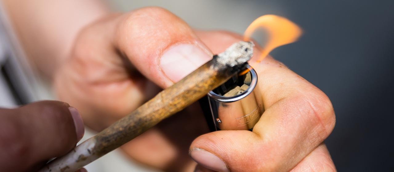 Rapport sur les drogues de l’UE : Le cannabis reste la drogue la plus consommée