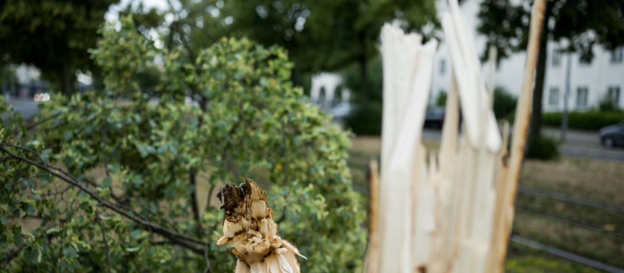 Tempêtes, pluies torrentielles – et la chaleur persiste
