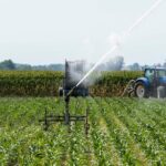 Travailleurs agricoles en Italie : un système mortel plein d’exploitation
