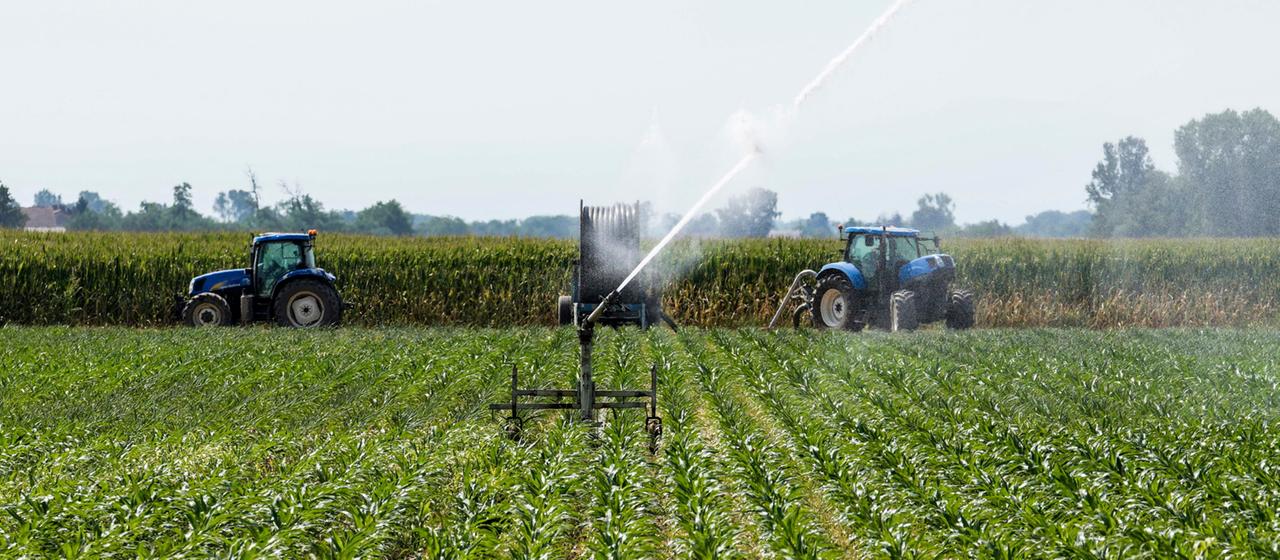 Travailleurs agricoles en Italie : un système mortel plein d’exploitation