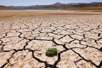 La capacité de l'eau a baissé par rapport à la semaine dernière (Reuters)