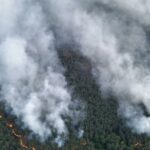 Incendie de forêt dans le parc national de Müritz : des jours d’intervention attendus