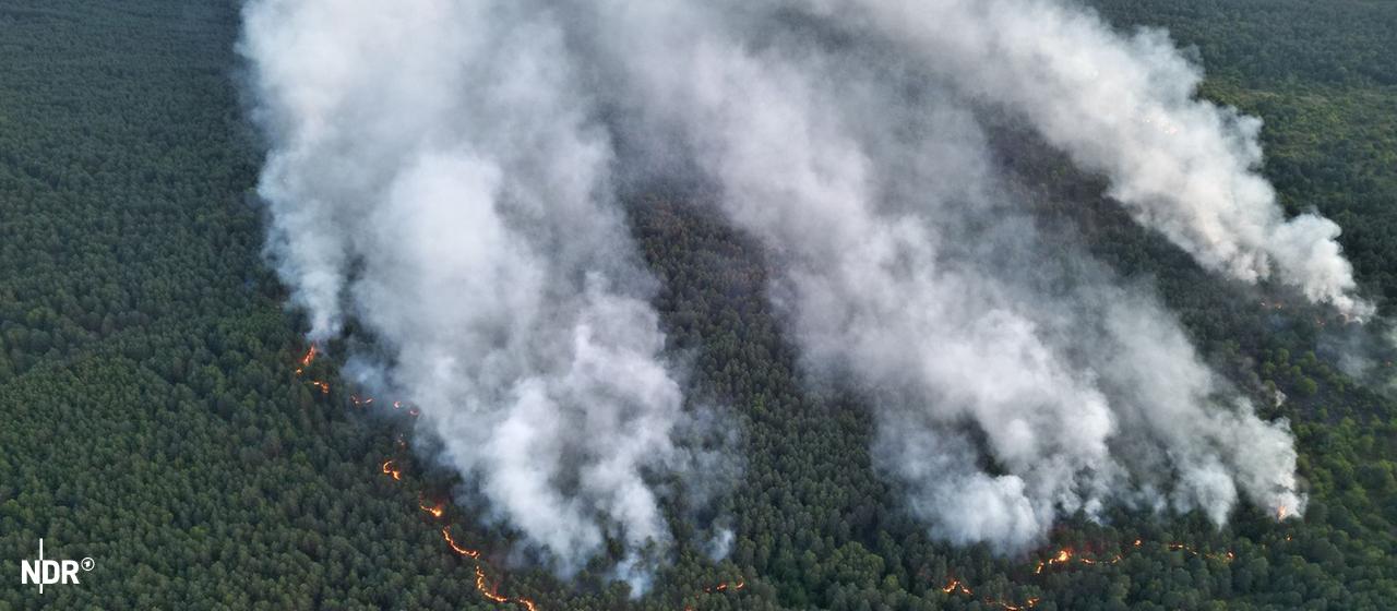 Incendie de forêt dans le parc national de Müritz : des jours d’intervention attendus