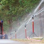 Incendie dans le parc national de Müritz : le feu maîtrisé