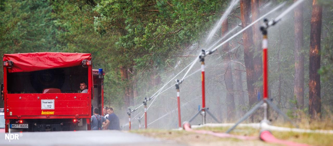 Incendie dans le parc national de Müritz : le feu maîtrisé