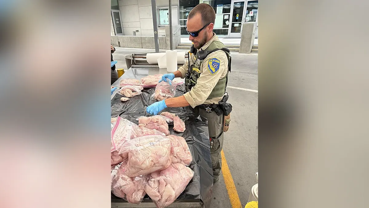 Saisie de poissons par les autorités californiennes