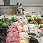 Un chien de la CBP découvre 100 livres de viande et de produits de la faune en provenance de Thaïlande