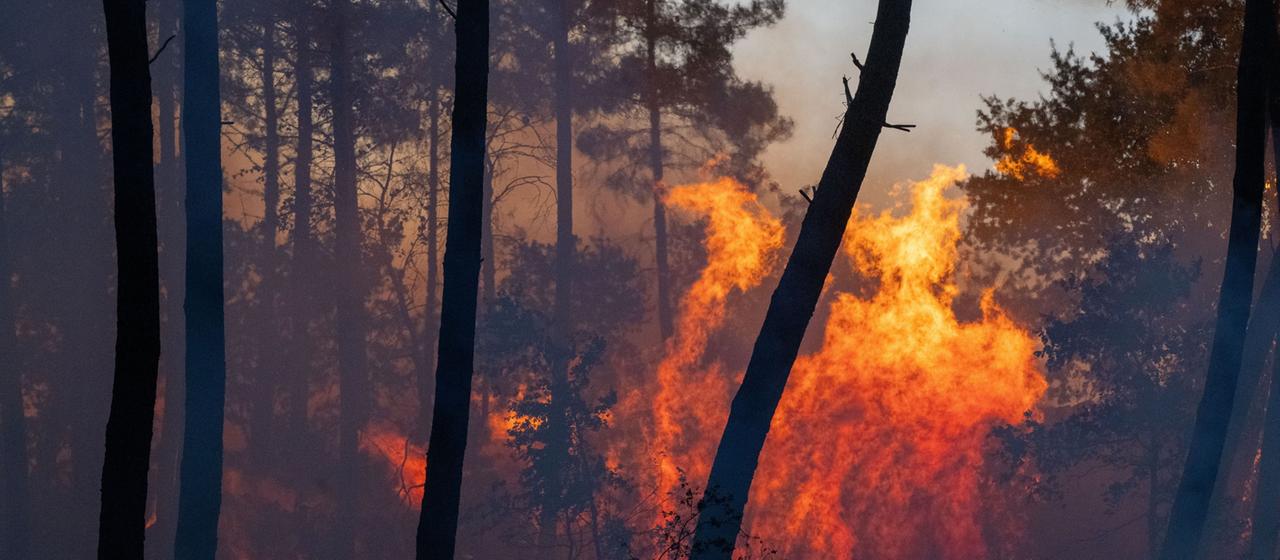Incendies de forêt : le feu en Espagne et en France s’étend davantage