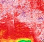 Des scientifiques avertissent : l’eau de la Terre manque d’oxygène. Et c’est un problème.