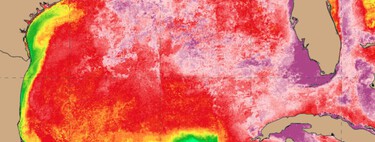 Des scientifiques avertissent : l’eau de la Terre manque d’oxygène. Et c’est un problème.