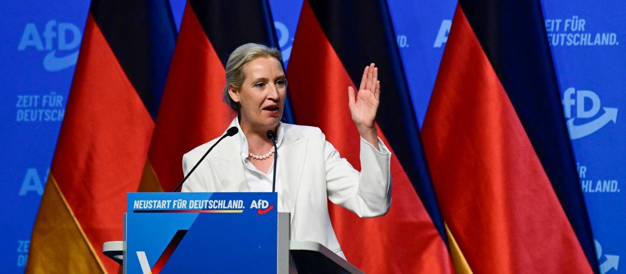 Analyse du congrès du Parti AfD : Comment Weidel et Höcke renforcent leur pouvoir
