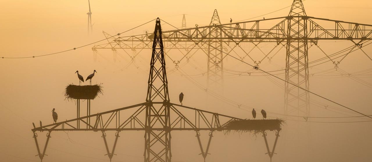 Chances d’indemnisation pour des dizaines de milliers de clients d’énergie