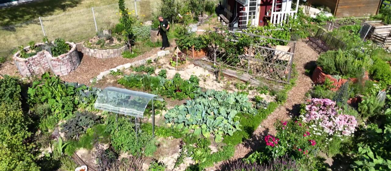 Comment les jardins familiaux se protègent de la chaleur