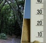Des températures dépassant 45 ºC et d’autres valeurs que je n’ose même pas mentionner : les experts craignent déjà une vague de chaleur exceptionnelle la semaine prochaine