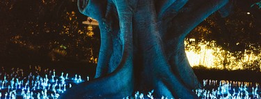 En 2019, nous avons découvert des champignons qui métabolisent l’or. Certains veulent déjà les transformer en clé de la mining spatiale.