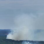 Incendie dans le parc national de Müritz : le feu se propage encore davantage