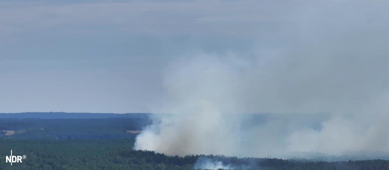 Incendie dans le parc national de Müritz : le feu se propage encore davantage