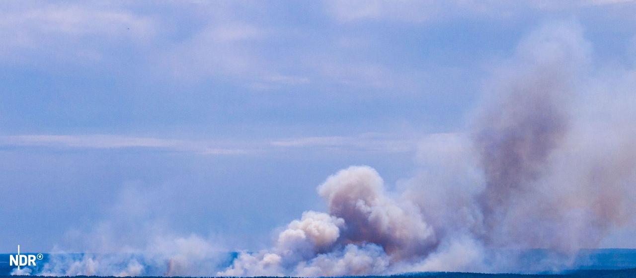 Incendie de forêt dans le parc national de Müritz : Granzin évacuée à nouveau