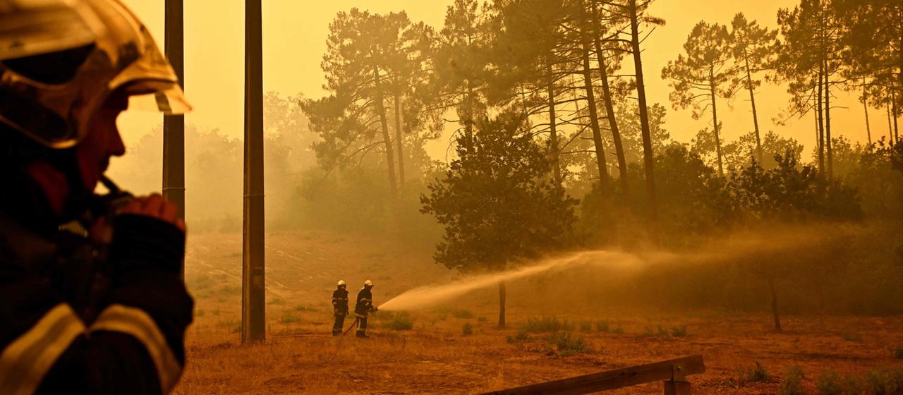 Incendies de forêt en France : Intervention continue contre les flammes