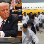 Le DHS inflige 84 milliards de dollars d’amendes aux immigrants clandestins sous Trump
