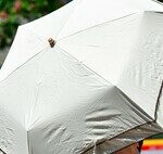 Le dermatologue Miguel Sánchez est formel : “Une grande partie des dommages causés par le soleil survient lors d’activités quotidiennes inaperçues.”