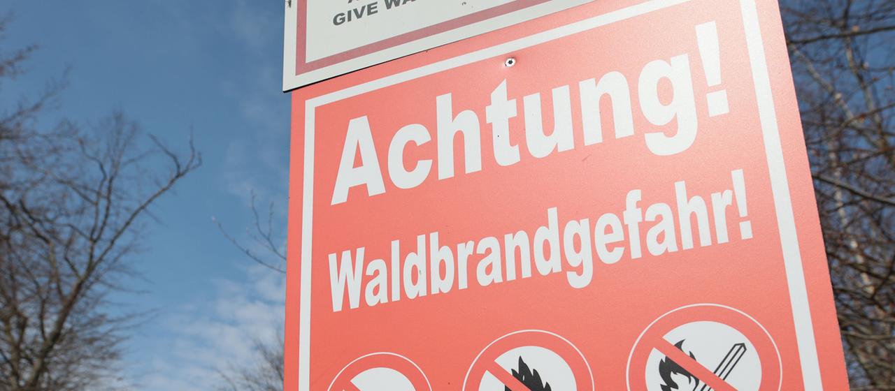 Le service météorologique signale une augmentation du risque d’incendie de forêt en Allemagne