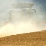 Les agriculteurs réagissent aux conditions climatiques changeantes