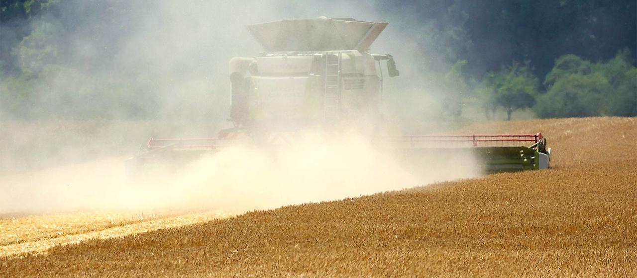 Les agriculteurs réagissent aux conditions climatiques changeantes