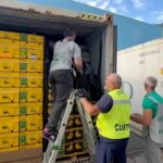 Les autorités italiennes saisissent une cargaison de cocaïne de 290 millions de dollars cachée parmi des palettes de bananes.