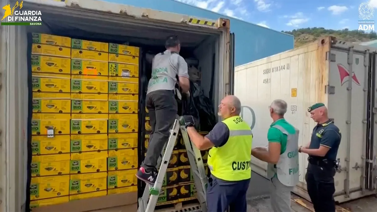 Les autorités italiennes saisissent une cargaison de cocaïne de 290 millions de dollars cachée parmi des palettes de bananes.