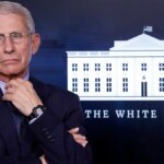 Les journaux de Fauci révèlent une amitié étroite avec le journaliste de CNN Jake Tapper