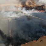 Les pompiers luttent contre des incendies de forêt et des champs dans plusieurs États fédéraux