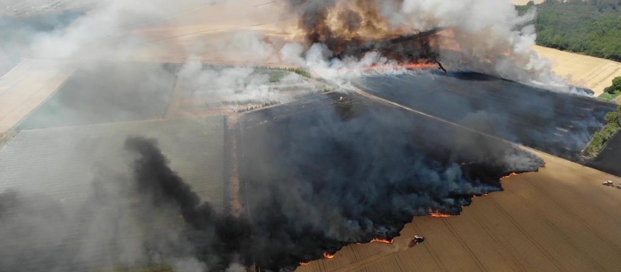 Les pompiers luttent contre des incendies de forêt et des champs dans plusieurs États fédéraux
