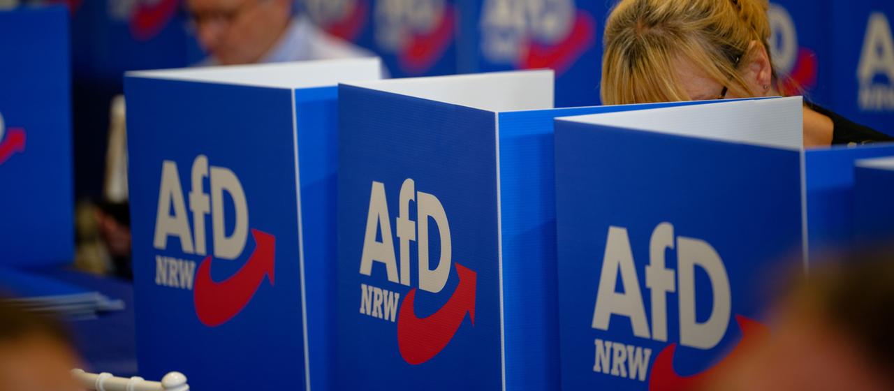 Lutte de pouvoir : le conseil fédéral de l’AfD met en place une commission d’enquête