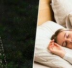 Nous pensions que la fatigue quotidienne était due à un manque de sommeil : la science suggère que nous ignorons les rythmes ultradiens.
