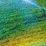 Quelle est vraiment la toxicité du pesticide Fluazinam ?