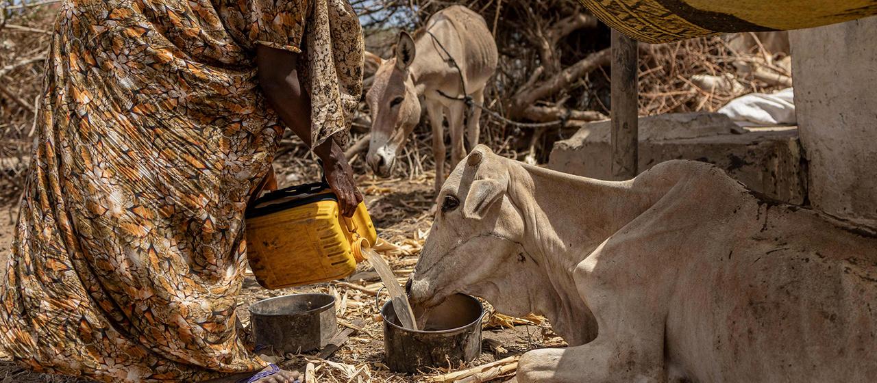 Rapport de l’ONU : Petits progrès, mais la faim persiste